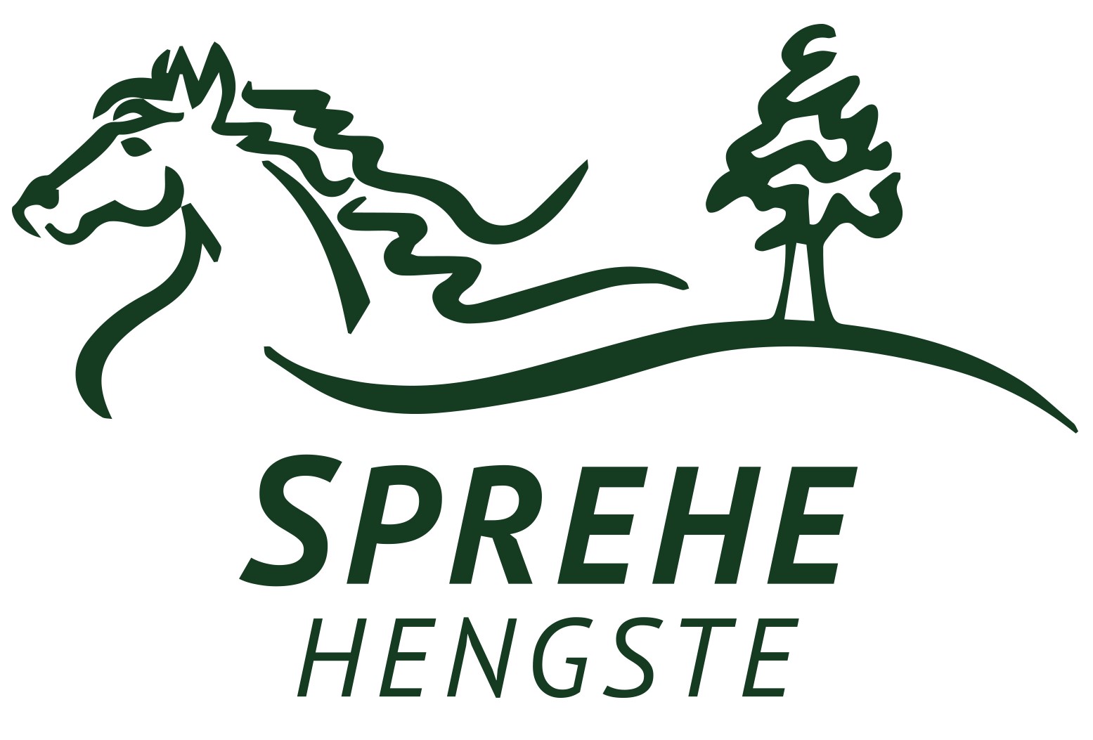 SPREHE Hengste